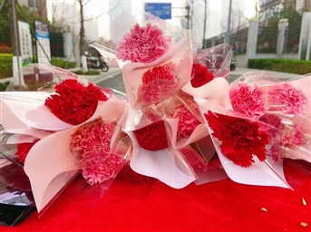 愿妳闪耀 不止今天