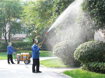 绿植养护，不负春光！