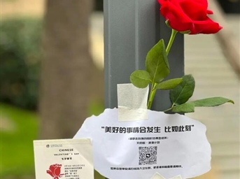 七夕节｜来自“天府园”的应急玫瑰 你收到了吗？