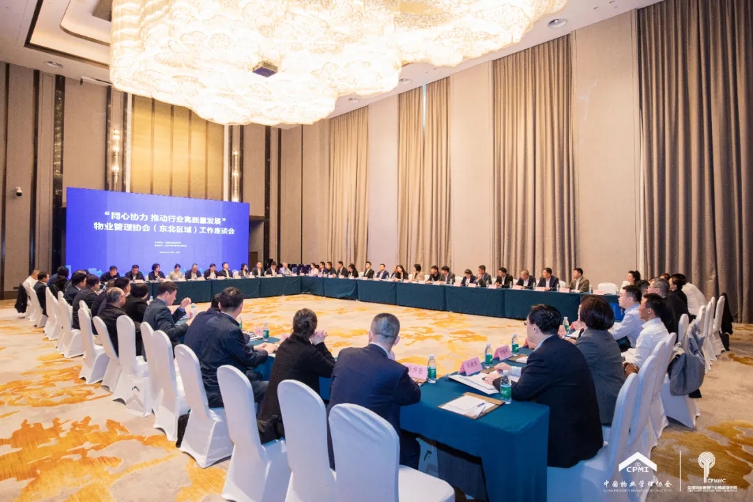 20240520_164620_001 20240520_164620_001